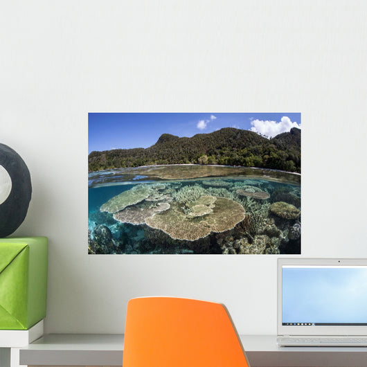 Beautiful Coral Reef Raja Wall Decal Design 3