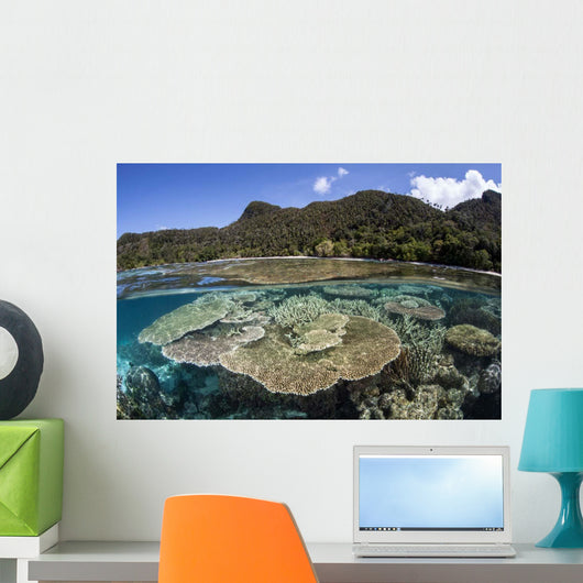 Beautiful Coral Reef Raja Wall Decal Design 3