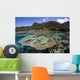 Beautiful Coral Reef Raja Wall Decal Design 3