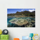 Beautiful Coral Reef Raja Wall Decal Design 3
