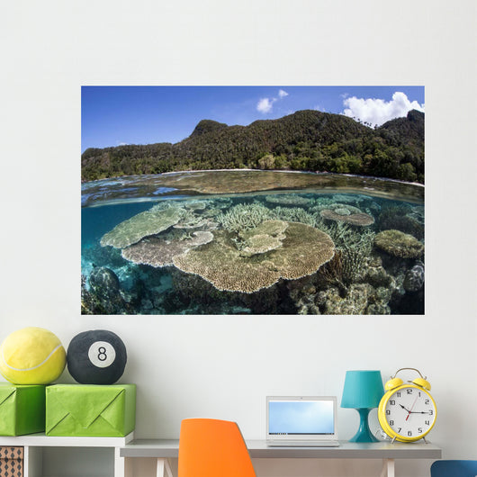 Beautiful Coral Reef Raja Wall Decal Design 3