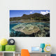 Beautiful Coral Reef Raja Wall Decal Design 3