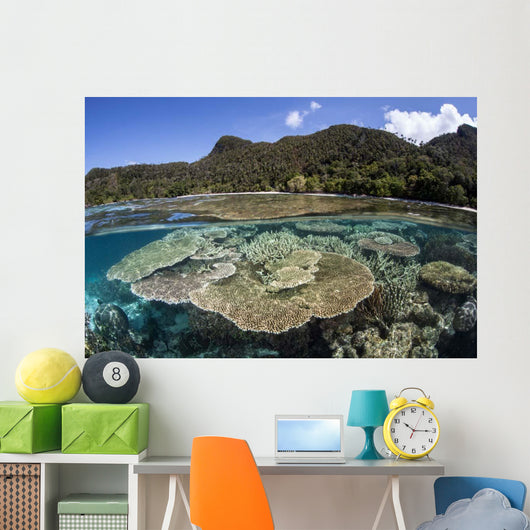 Beautiful Coral Reef Raja Wall Decal Design 3