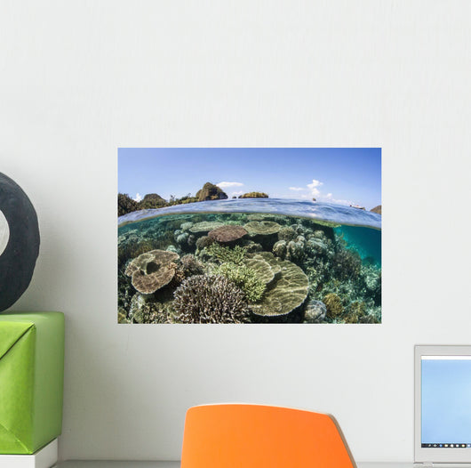 Beautiful Coral Reef Raja Wall Decal Design 2
