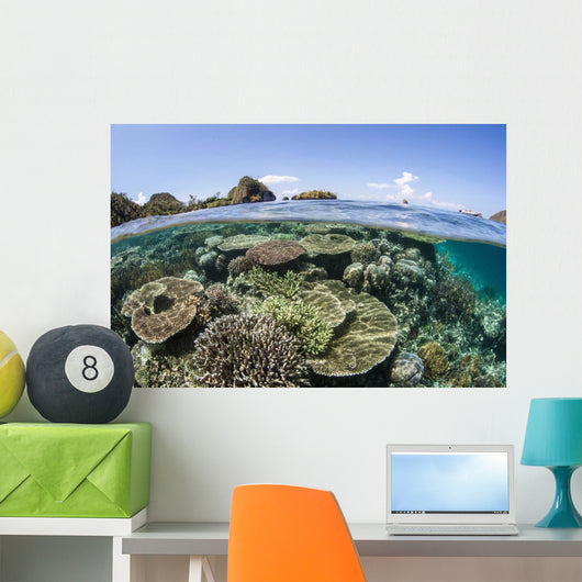 Beautiful Coral Reef Raja Wall Decal Design 2