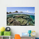 Beautiful Coral Reef Raja Wall Decal Design 2
