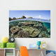 Beautiful Coral Reef Raja Wall Decal Design 2