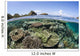 Beautiful Coral Reef Raja Wall Decal Design 2