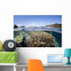 Beautiful Coral Reef Raja Wall Decal Design 1