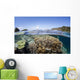 Beautiful Coral Reef Raja Wall Decal Design 1