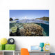 Beautiful Coral Reef Raja Wall Decal Design 1