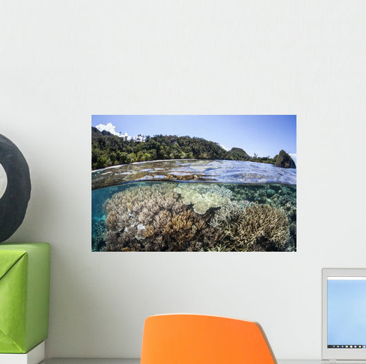 Diverse Array Corals Grow Wall Decal Design 4