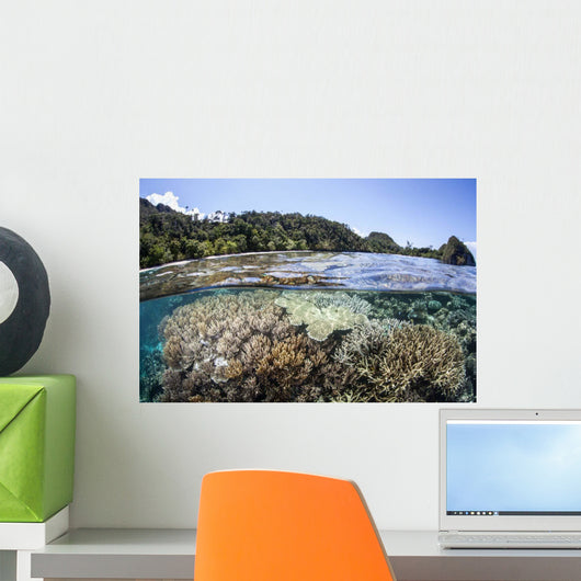 Diverse Array Corals Grow Wall Decal Design 4