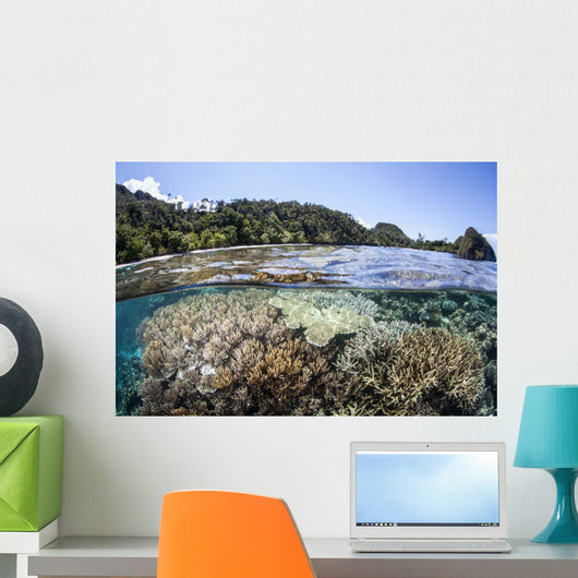 Diverse Array Corals Grow Wall Decal Design 4