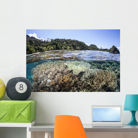 Diverse Array Corals Grow Wall Decal Design 4