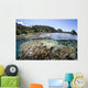 Diverse Array Corals Grow Wall Decal Design 4