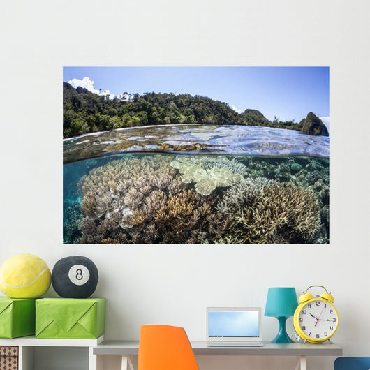 Diverse Array Corals Grow Wall Decal Design 4