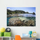 Diverse Array Corals Grow Wall Decal Design 4