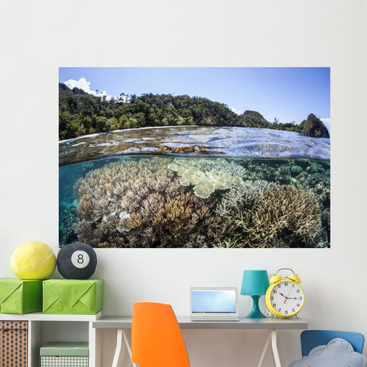 Diverse Array Corals Grow Wall Decal Design 4