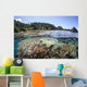 Diverse Array Corals Grow Wall Decal Design 4
