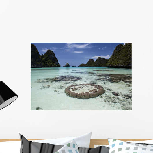 Limestone Islands Surround Corals Wall Decal Design 3