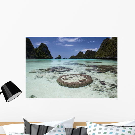 Limestone Islands Surround Corals Wall Decal Design 3