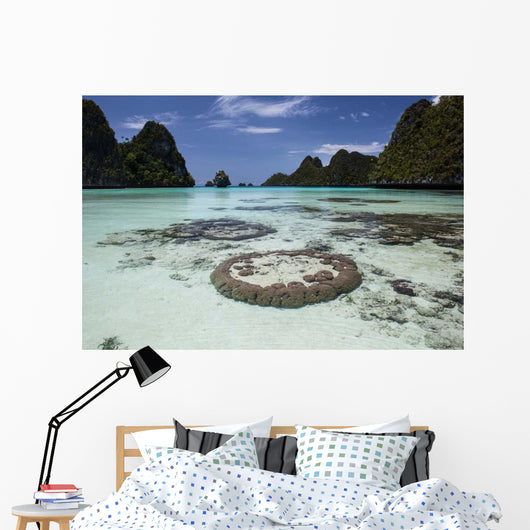 Limestone Islands Surround Corals Wall Decal Design 3