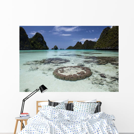 Limestone Islands Surround Corals Wall Decal Design 3