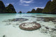 Limestone Islands Surround Corals Wall Decal Design 3