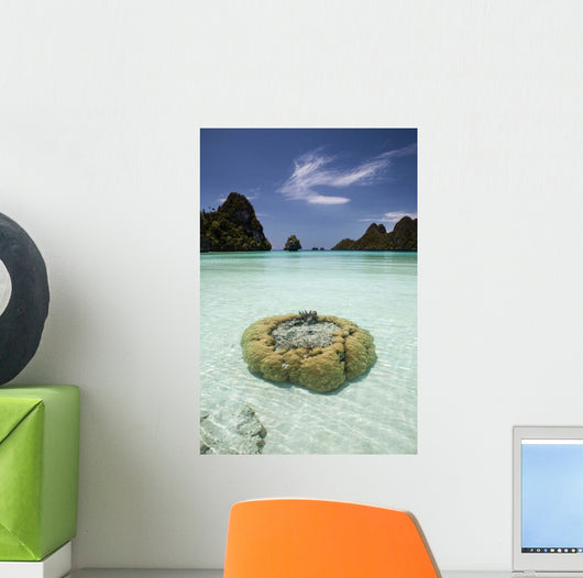 Limestone Islands Surround Corals Wall Decal Design 2
