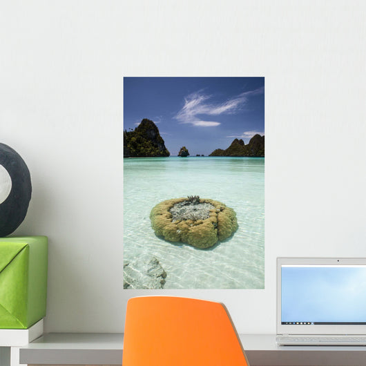Limestone Islands Surround Corals Wall Decal Design 2