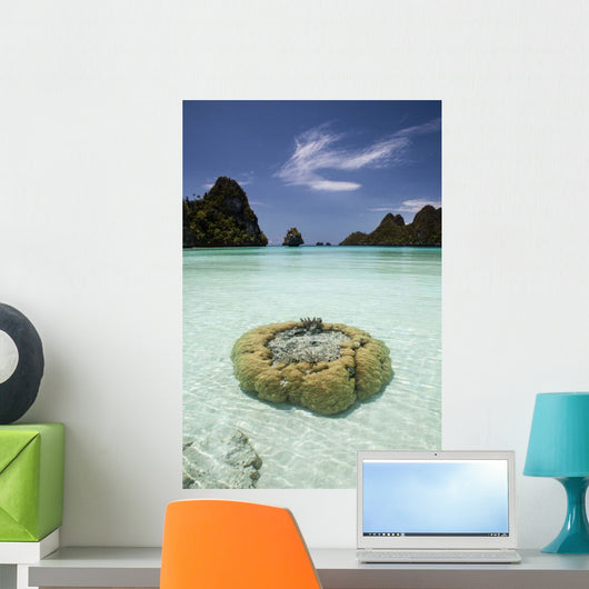 Limestone Islands Surround Corals Wall Decal Design 2