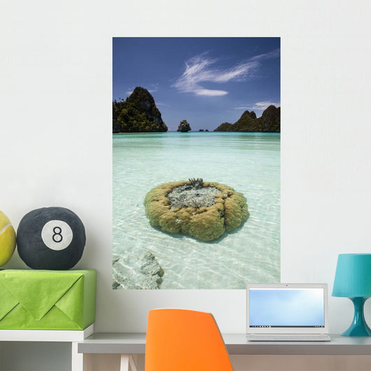 Limestone Islands Surround Corals Wall Decal Design 2