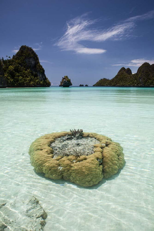 Limestone Islands Surround Corals Wall Decal Design 2