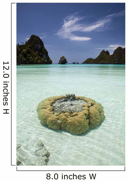 Limestone Islands Surround Corals Wall Decal Design 2
