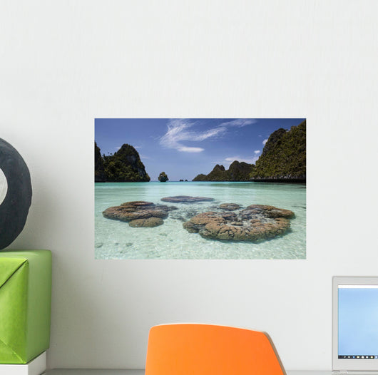 Limestone Islands Surround Corals Wall Decal Design 1