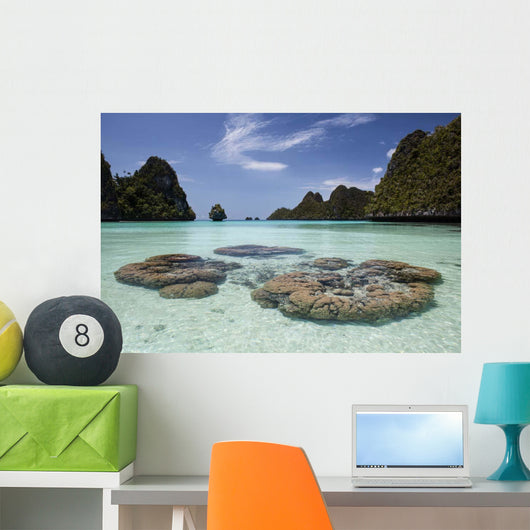 Limestone Islands Surround Corals Wall Decal Design 1