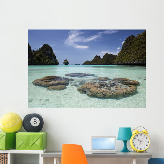 Limestone Islands Surround Corals Wall Decal Design 1