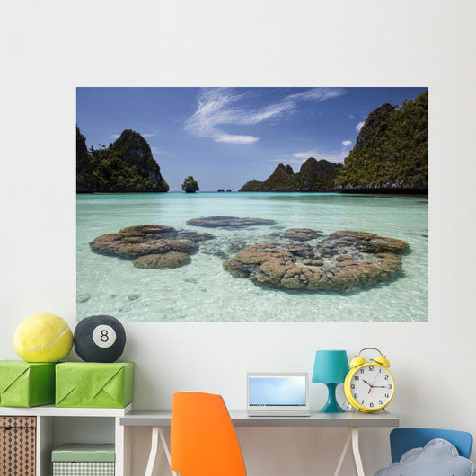 Limestone Islands Surround Corals Wall Decal Design 1