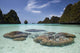 Limestone Islands Surround Corals Wall Decal Design 1