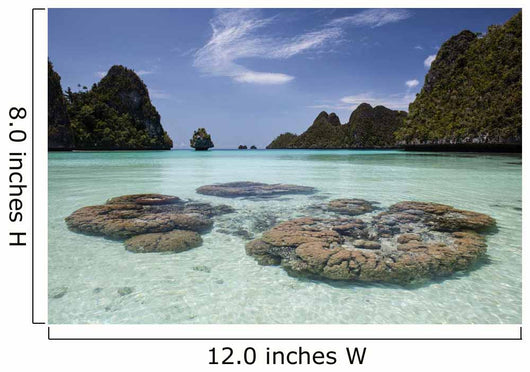 Limestone Islands Surround Corals Wall Decal Design 1