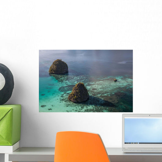 Limestone Islands Surrounded Coral Wall Decal Design 2