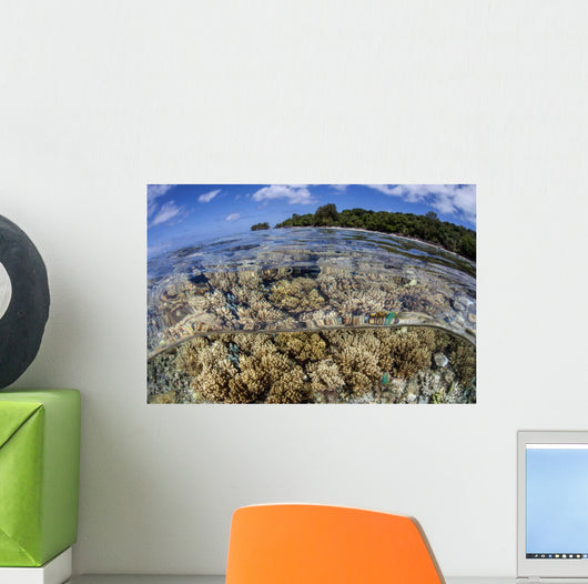 Soft Corals Grow Edge Wall Decal Design 2