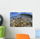 Soft Corals Grow Edge Wall Decal Design 2