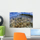 Soft Corals Grow Edge Wall Decal Design 2