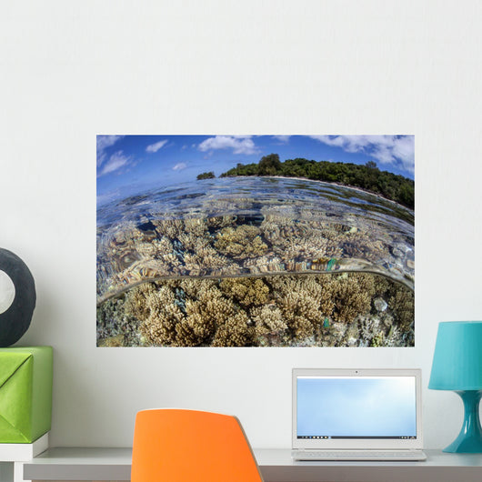 Soft Corals Grow Edge Wall Decal Design 2