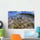 Soft Corals Grow Edge Wall Decal Design 2