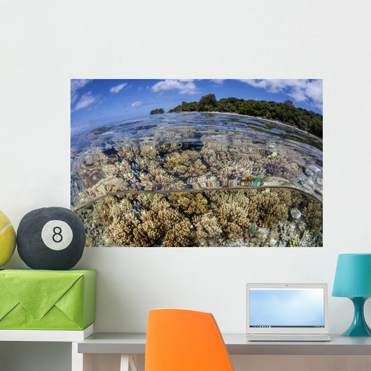 Soft Corals Grow Edge Wall Decal Design 2