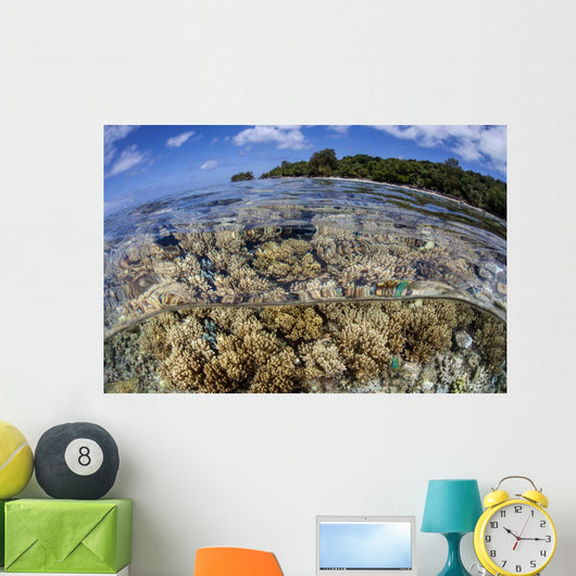 Soft Corals Grow Edge Wall Decal Design 2