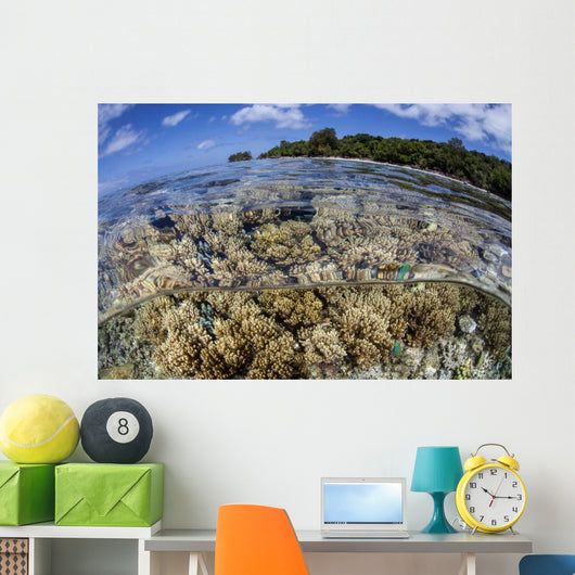 Soft Corals Grow Edge Wall Decal Design 2